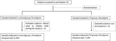 Telehealth model versus in-person standard care for persons with type 1 diabetes treated with multiple daily injections: an open-label randomized controlled trial